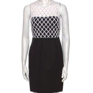 Diane Von Furstenberg Cage Design Dress